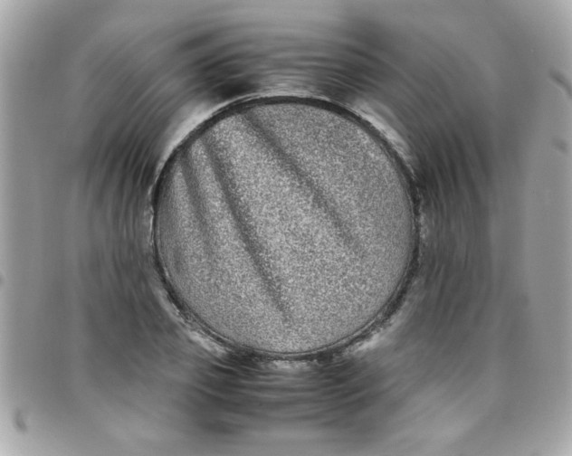 X0000097780933200803211755