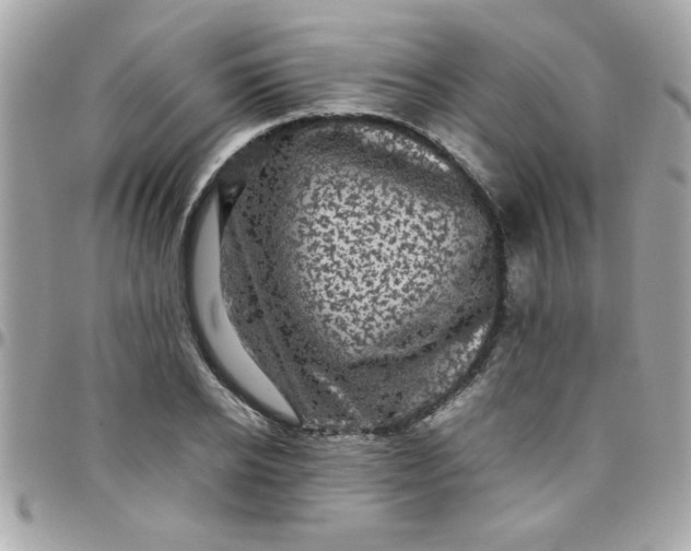 X0000097780934200803211755