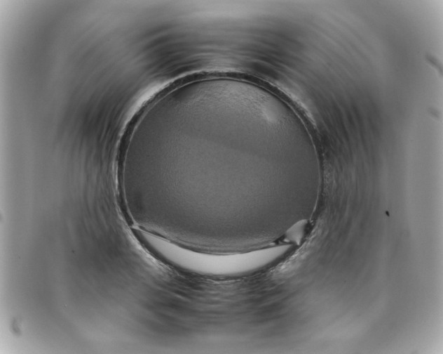 X0000097780935200803211755