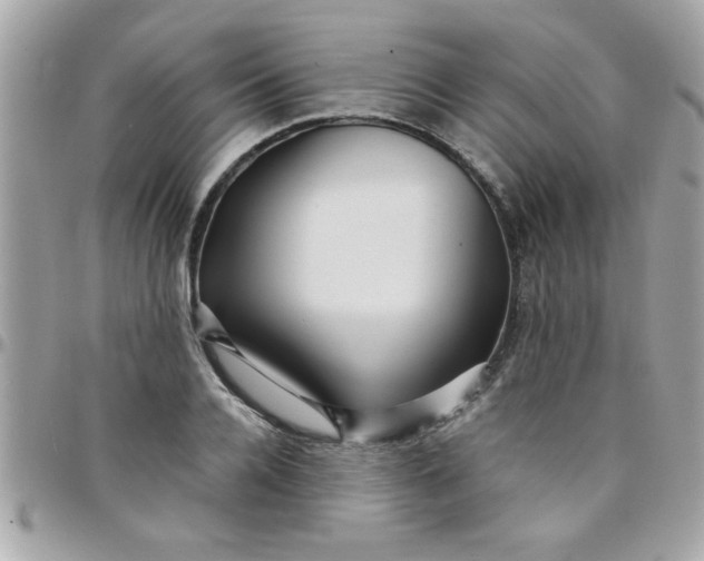 X0000097780936200803211755