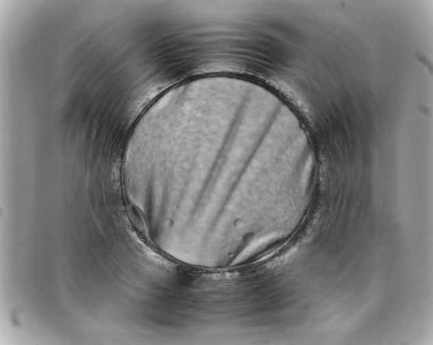 X0000097780937200803211755