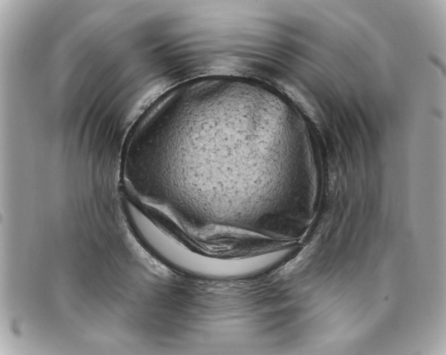 X0000097780938200803211755