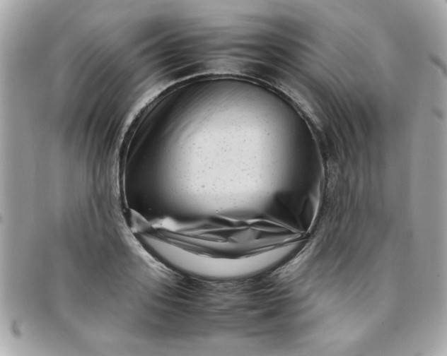 X0000097780939200803211755