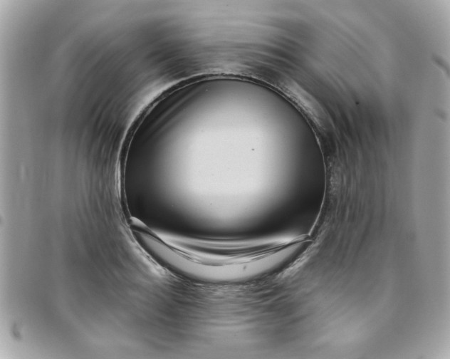 X0000097780940200803211755