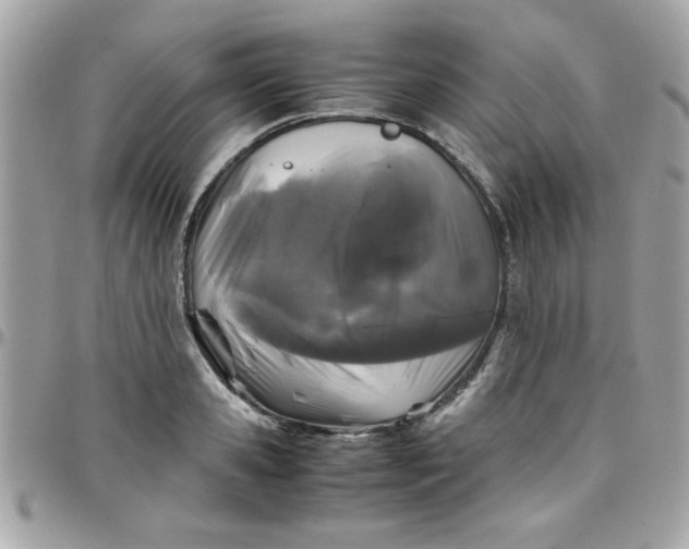 X0000097780941200803211755