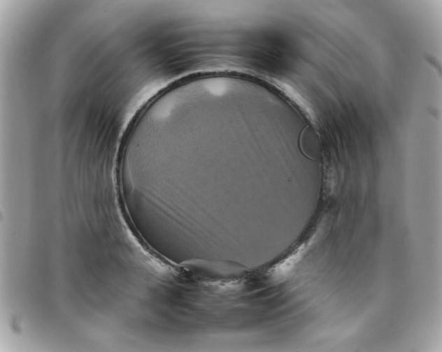 X0000097780943200803211755