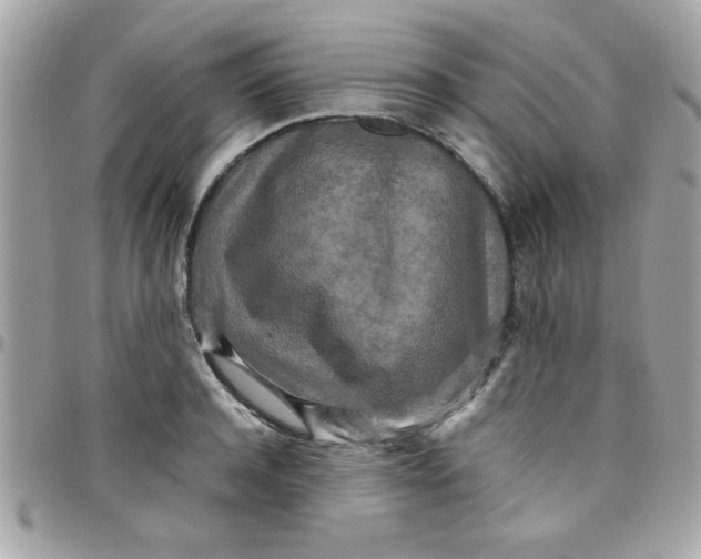 X0000097780944200803211755