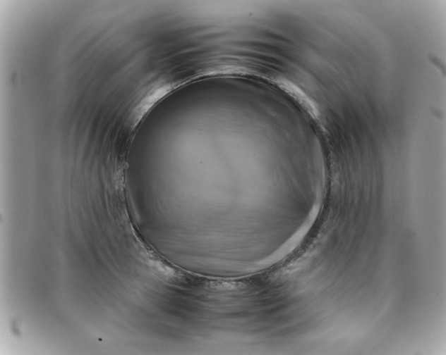 X0000097780945200803211755