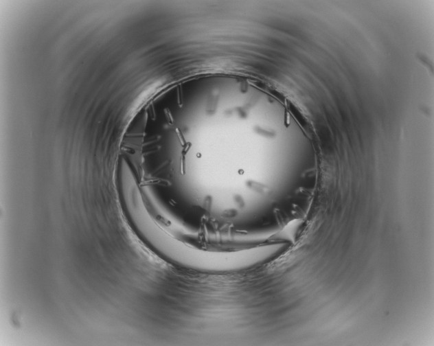 X0000097780946200803211755