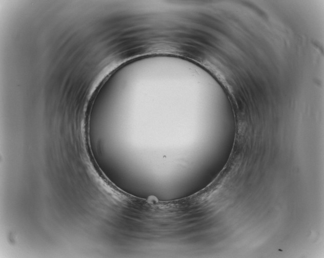 X0000097780947200803211755