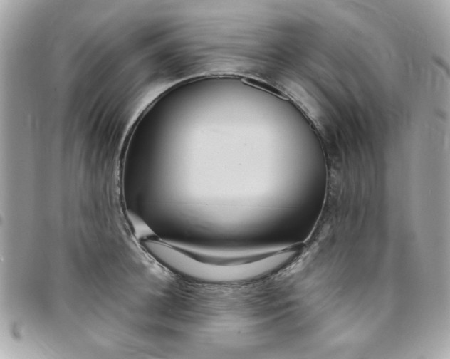 X0000097780948200803211755