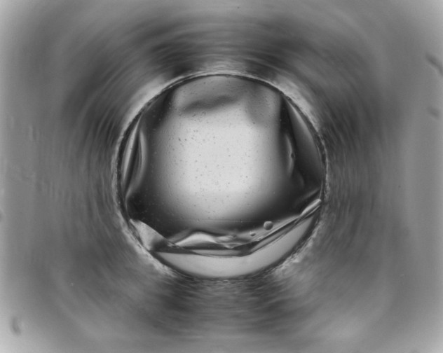 X0000097780949200803211755