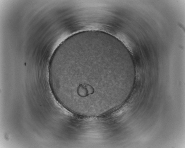 X0000097780950200803211755