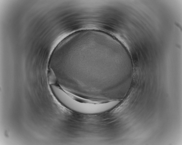 X0000097780951200803211756