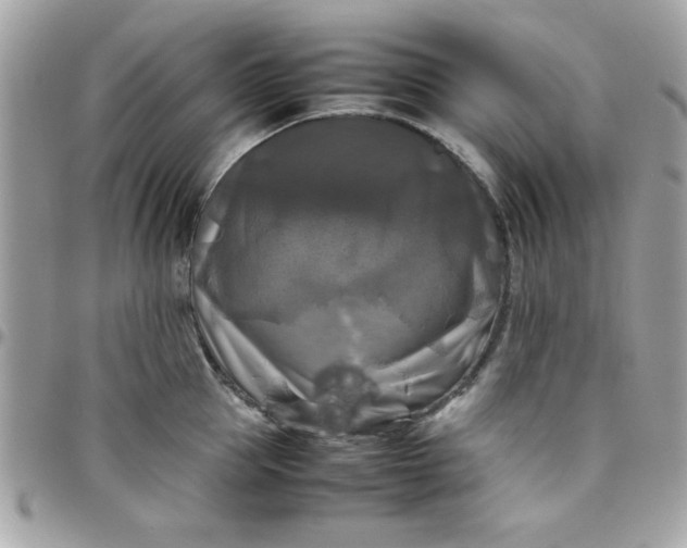 X0000097780953200803211756