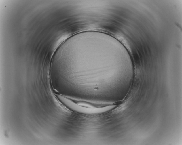 X0000097780954200803211756