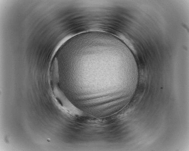 X0000097780955200803211756