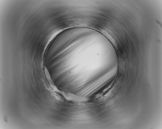 X0000097780956200803211756