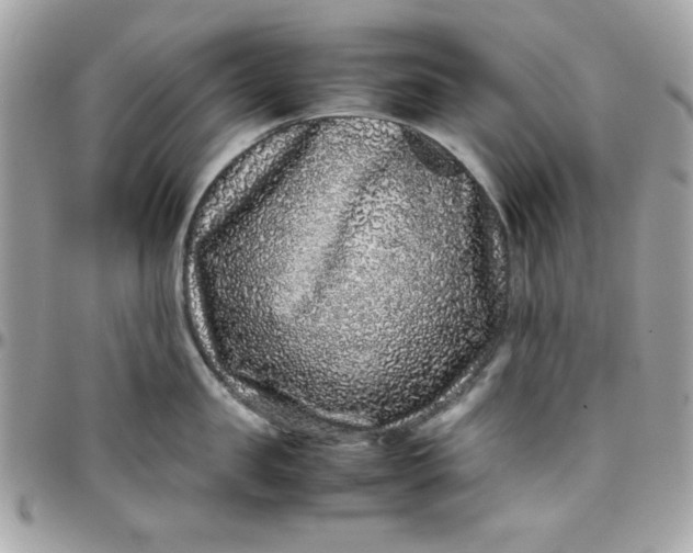 X0000097780957200803211756