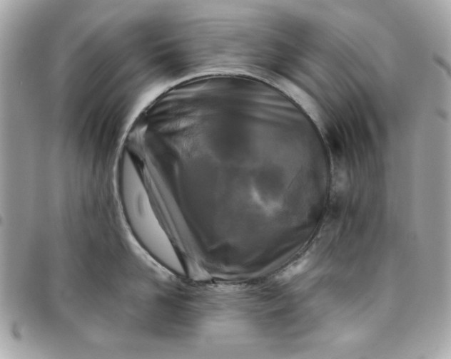 X0000097780958200803211756