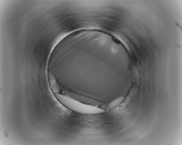 X0000097780959200803211756