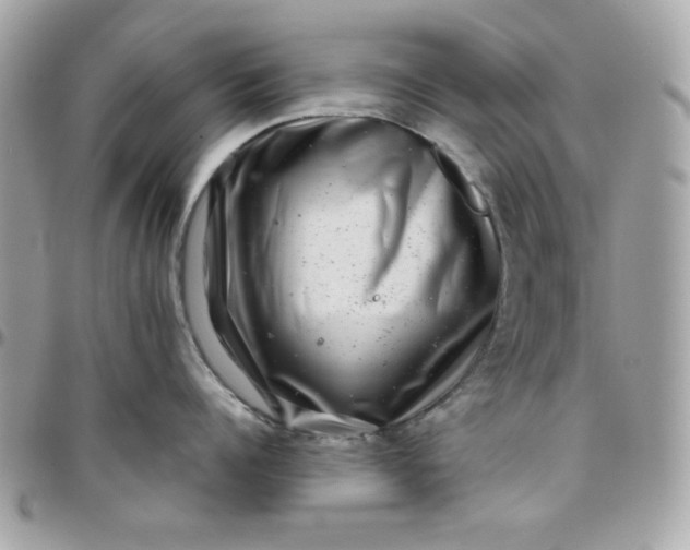 X0000097780960200803211756