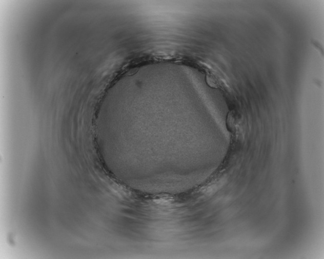 X0000097780961200803211755