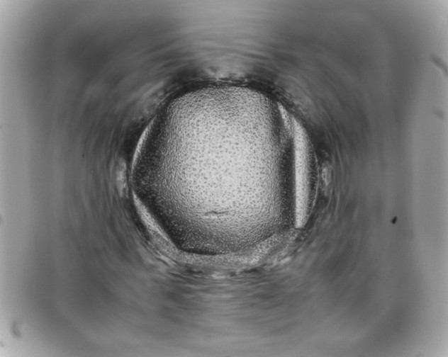 X0000097780963200803211755