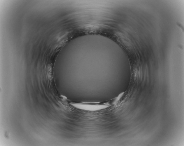 X0000097780964200803211755