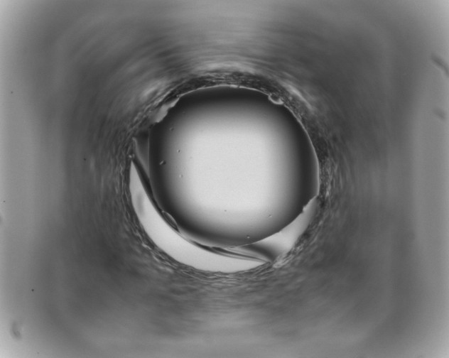 X0000097780965200803211755