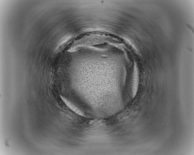 X0000097780967200803211755