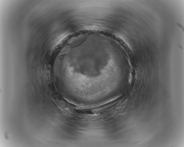 X0000097780968200803211755