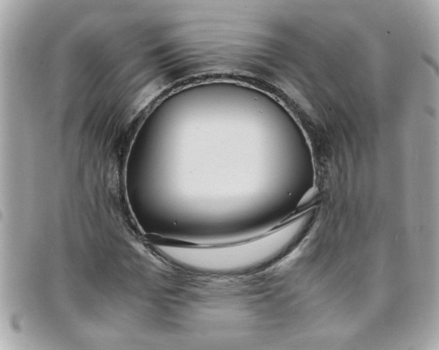 X0000097780969200803211755