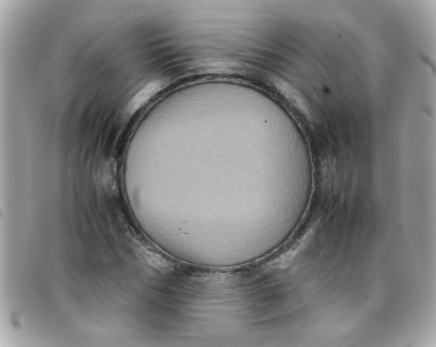 X0000097780970200803211755