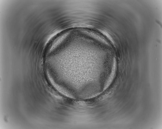 X0000097780971200803211755