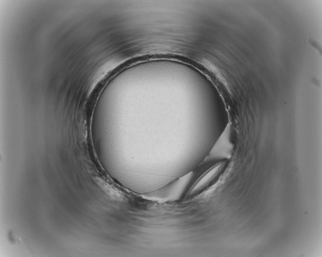 X0000097780973200803211755