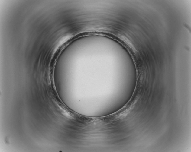 X0000097780974200803211755