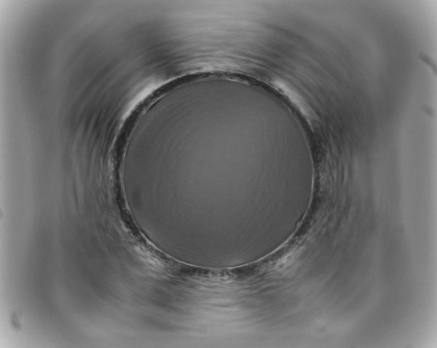 X0000097780975200803211755