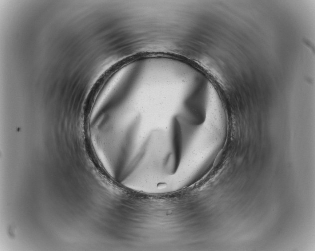 X0000097780976200803211755