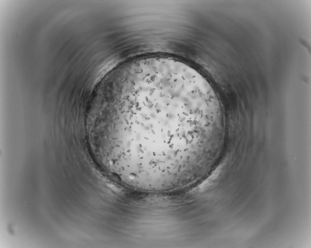 X0000097780977200803211755