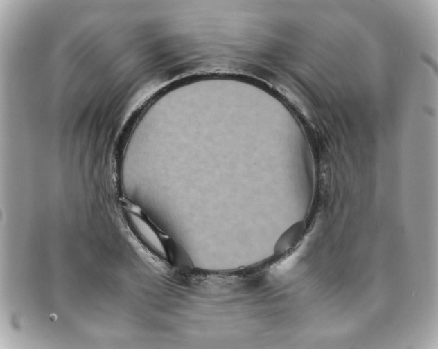 X0000097780981200803211755