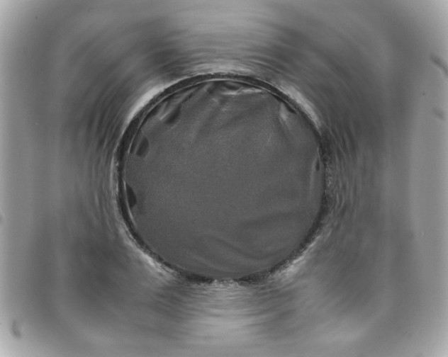 X0000097780983200803211755