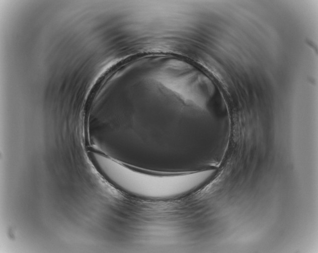 X0000097780984200803211755