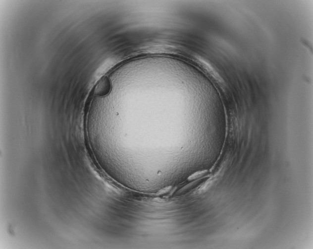 X0000097780986200803211755