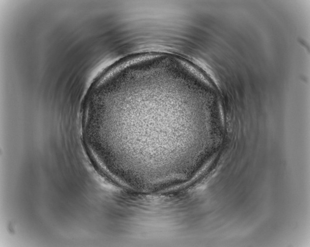 X0000097780987200803211755