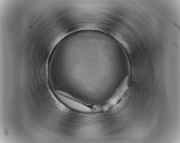 X0000097780988200803211755