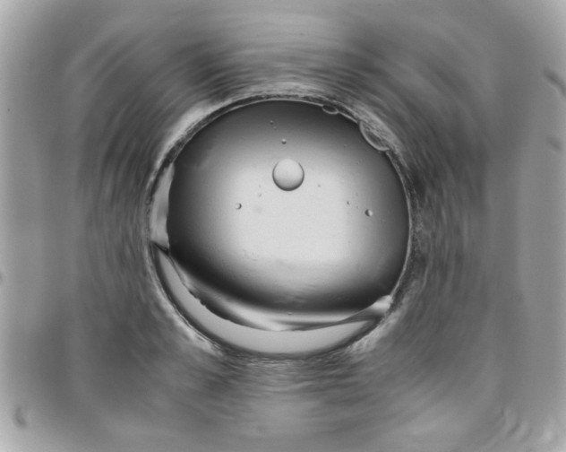 X0000097780989200803211755