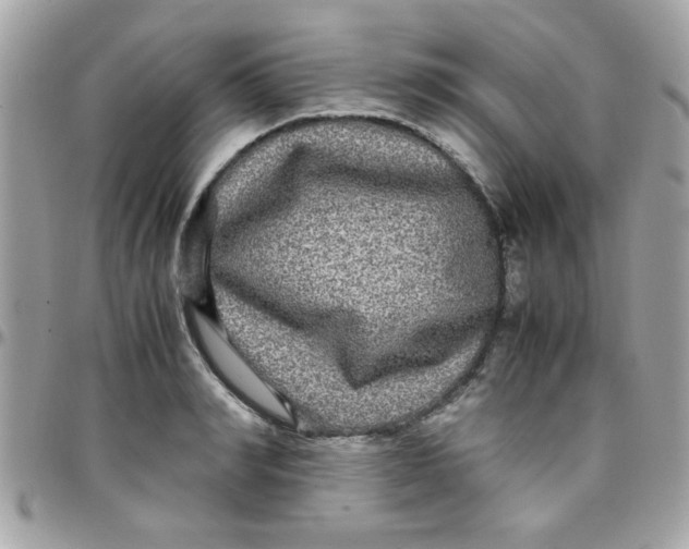 X0000097780990200803211755