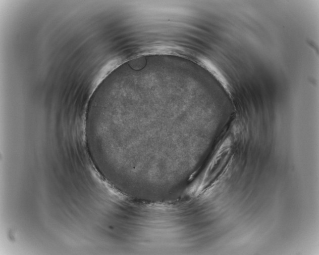 X0000097780994200803211755