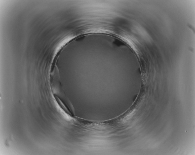 X0000097780995200803211755